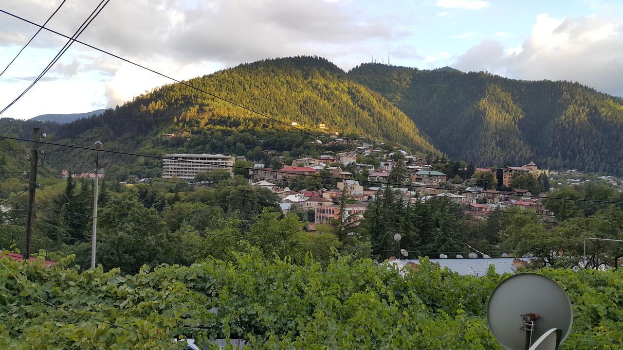 Guest House Khatuna Borjomi Luaran gambar
