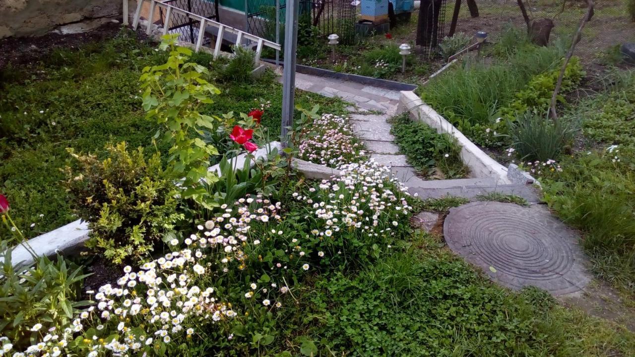 Guest House Khatuna Borjomi Luaran gambar